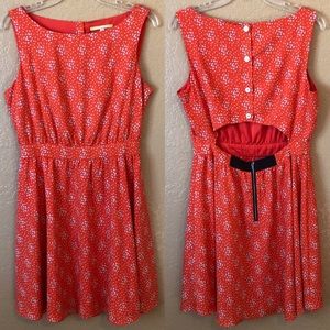 Gianni Bini Dress